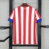 Parte trasera camiseta local Atlético de Madrid 2012-13 con espacio para nombre y número personalizados